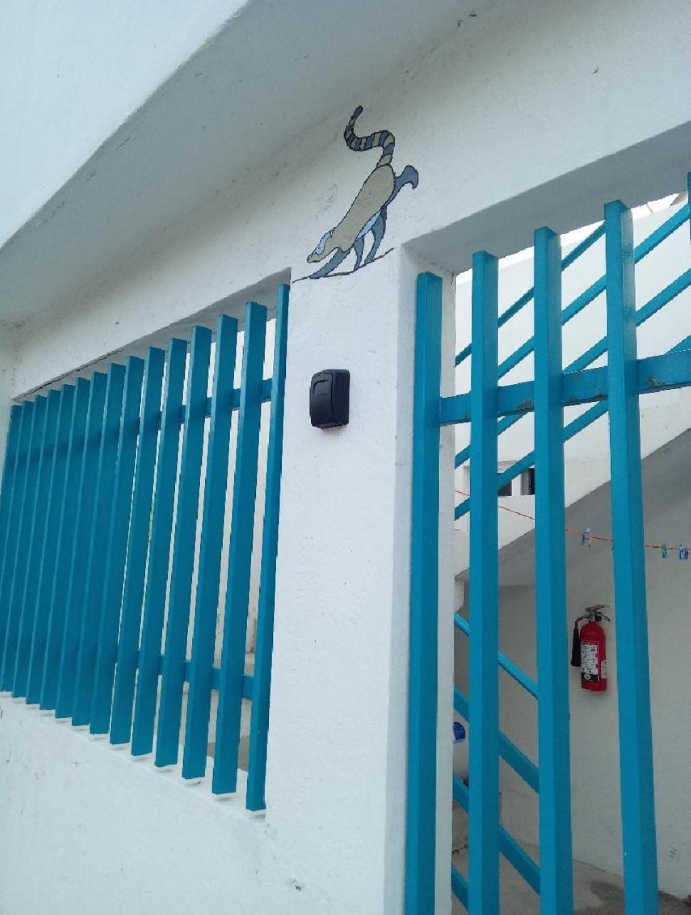 Appartement Estudio Coati Azul En La Isla De En El Caribe Cozumel