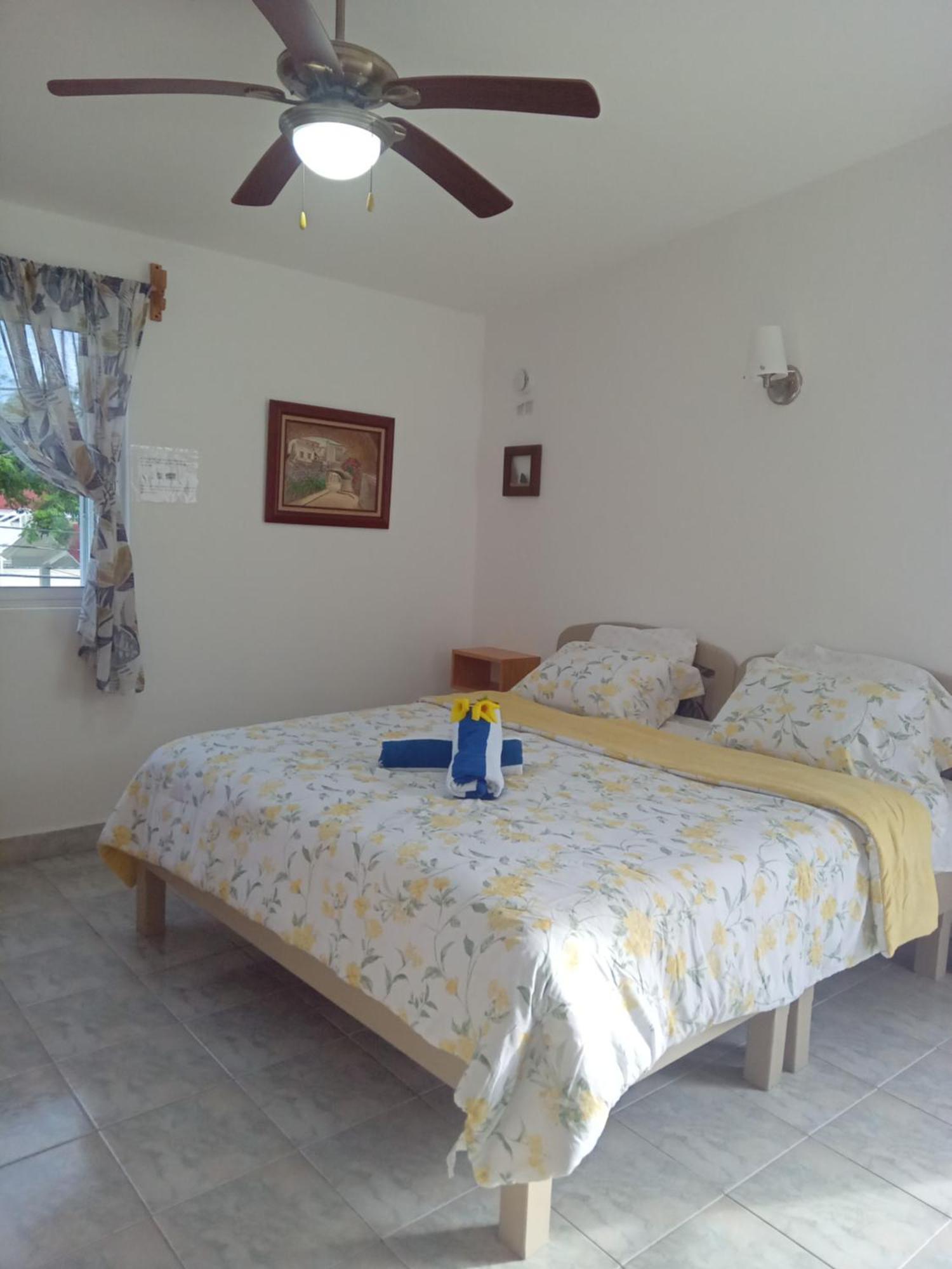 Estudio Coati Azul En La Isla De En El Caribe Apartment